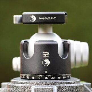 Really Right Stuff TVC-34L + BH-55