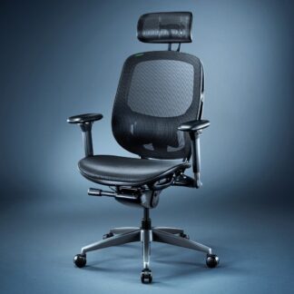 Herman Miller Fujin Pro + Iskur V2 Pro