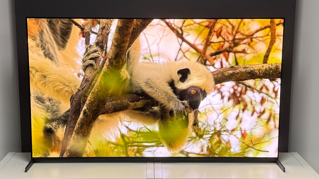 Sony OLED910 Ambilight Max