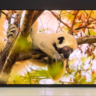 Sony OLED910 Ambilight Max