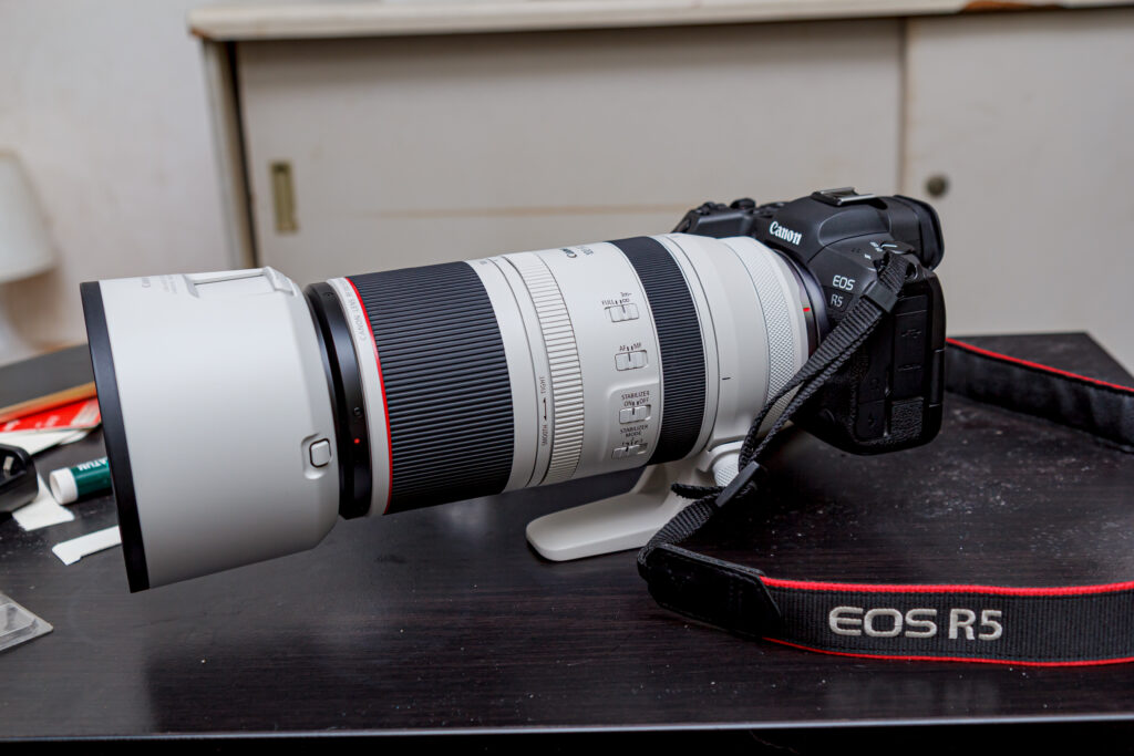 Canon RF 100-500mm f/4.5-7.1 L