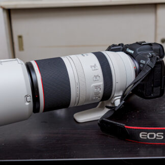 Canon RF 100-500mm f/4.5-7.1 L