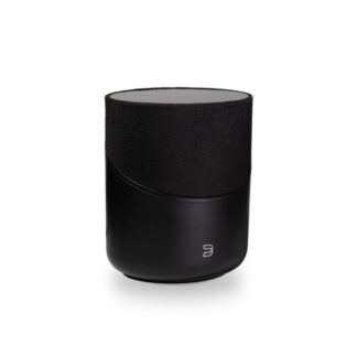 Bluesound HPulse M + Node