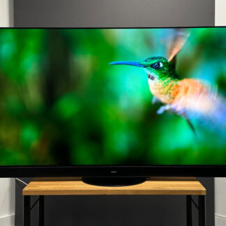 Panasonic Z95A Max
