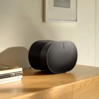Sonos Era 300 Pro Max