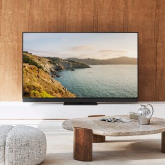 Panasonic Z95B