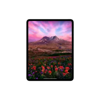 Apple iPad Pro 13" M4 Pro