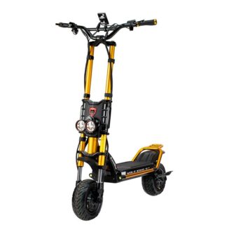 Kaabo Wolf King GT Max