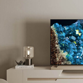 Sony Z95B