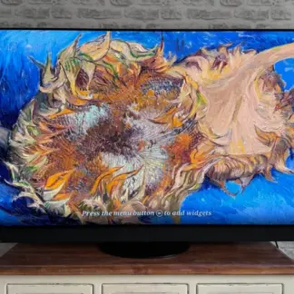 Panasonic Z95B 65 pulgadas