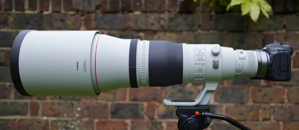 Canon RF 600mm f/4 L IS USM Lens