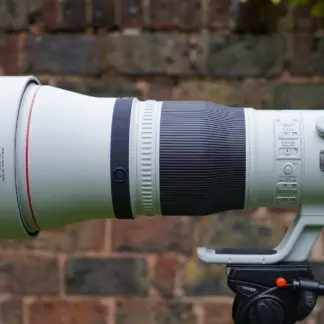 Canon RF 600mm f/4 L IS USM Lens