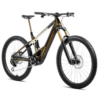 Orbea Wild M-LTD L