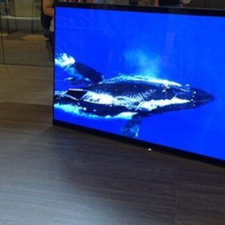 Sony Bravia 8 OLED 77 pulgadas