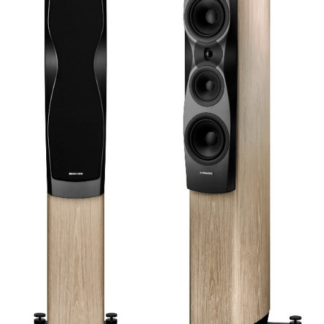Dynaudio Epicon 6
