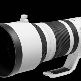 Canon RF 100-300mm f/2.8L IS USM