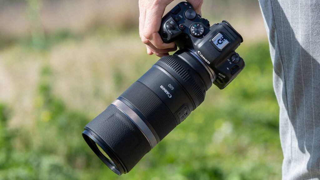 Canon RF 600mm f/4L IS USM