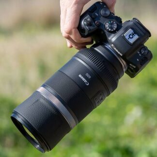 Canon RF 600mm f/4L IS USM