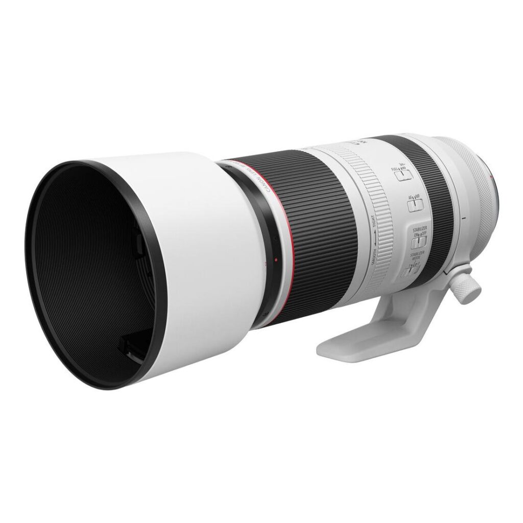Canon RF 100-500mm f/4.5-7.1L IS USM