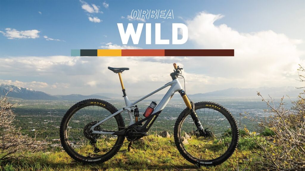 Orbea Wild M-LTD Size S