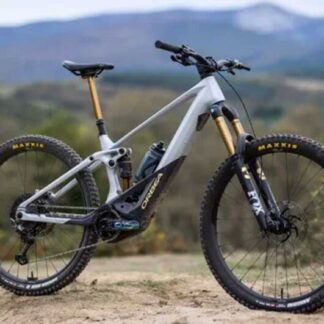 Orbea Wild M-LTD Size L