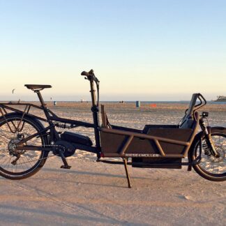 Riese & Müller Load4 75 Touring HS Size XL