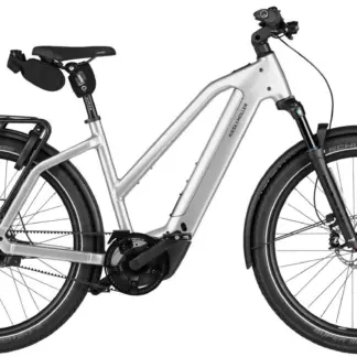 Riese & Müller Charger5 GT Rohloff Size S