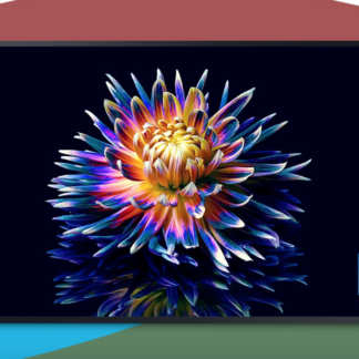 Samsung The Terrace 4K QLED 65"
