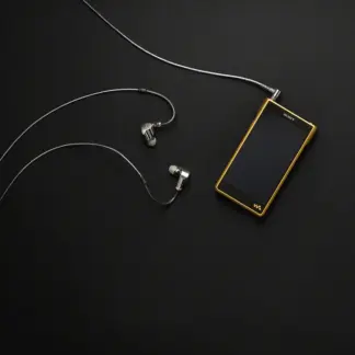 Sony NW-WM1ZM2 Signature