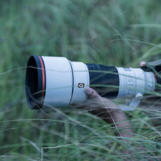 Sony FE 300mm F2.8 GM OSS