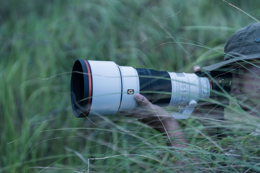 Sony FE 300mm F2.8 GM OSS