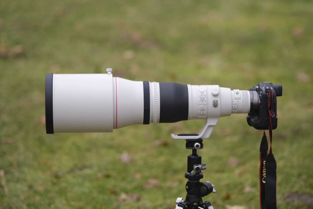 Canon RF 600mm F4 L IS USM