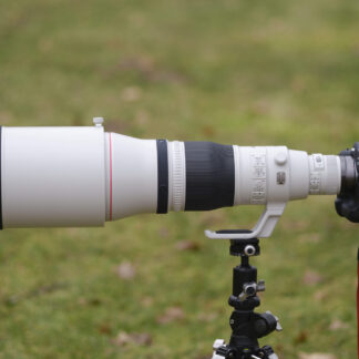 Canon RF 600mm F4 L IS USM