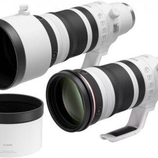 Canon RF 100-300mm F2.8 L IS USM
