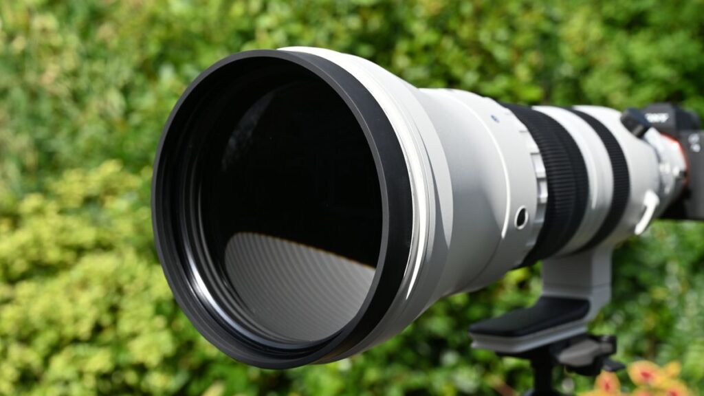 Sigma 300-600mm F4 DG OS Sports