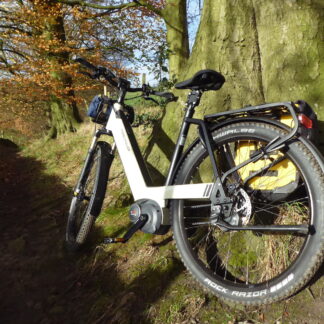 Riese & Müller Superdelite5 GX Rohloff Size L