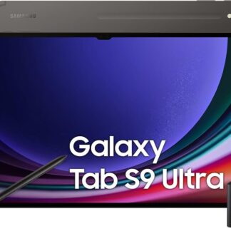 Samsung Galaxy Tab S9 Ultra 5G 1TB Gray