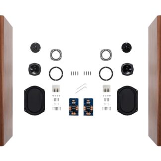 Bang & Olufsen Beolab 28 (pair) Black