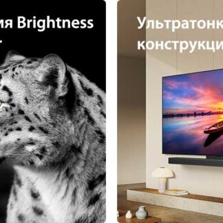 LG OLED evo C4 55"