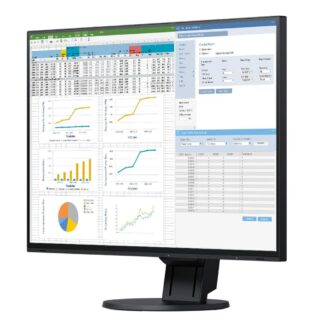 EIZO FlexScan FLT 24