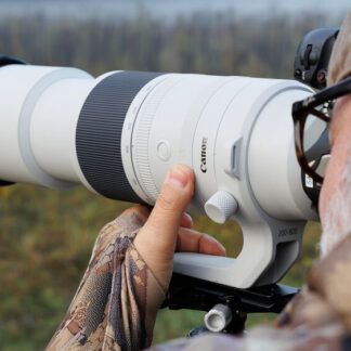 Canon RF 200-800mm F6.3-9 IS USM