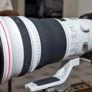 Canon EF 400mm F2.8L IS III USM
