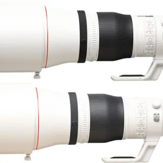 Canon RF 600mm F4 L IS USM