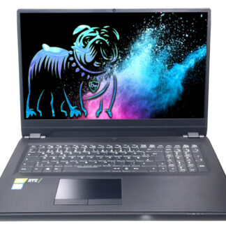 Schenker Key 17 Pro M25 i9-14900HX / RTX 4080 / 64GB / 2TB