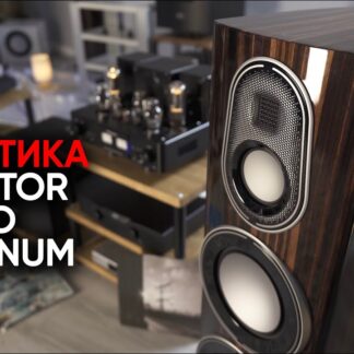 Monitor Audio Platinum 300 3G (pareja)