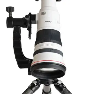 Canon RF 800mm F5.6 L IS USM