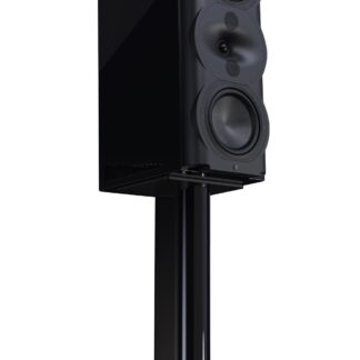 Perlisten R5m