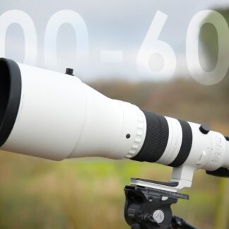 Sigma 300-600mm F4 DG OS Sports