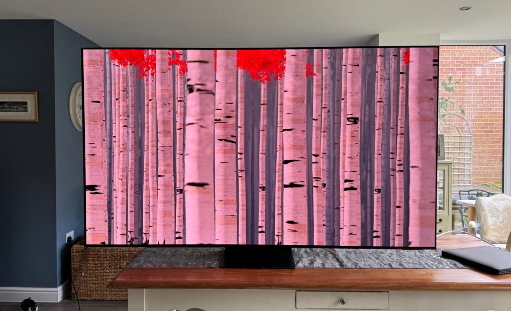 Samsung OLED S95F 65″