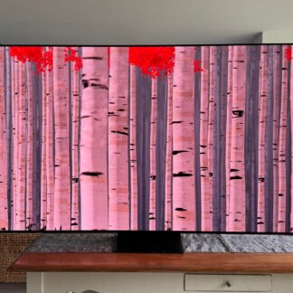 Samsung OLED S95F 65"
